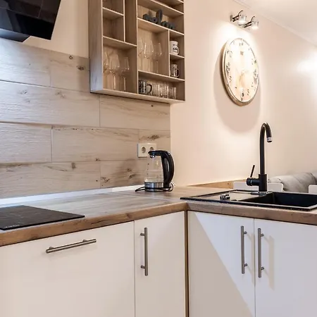 Appartamento Staroevreyska Timber Leopoli